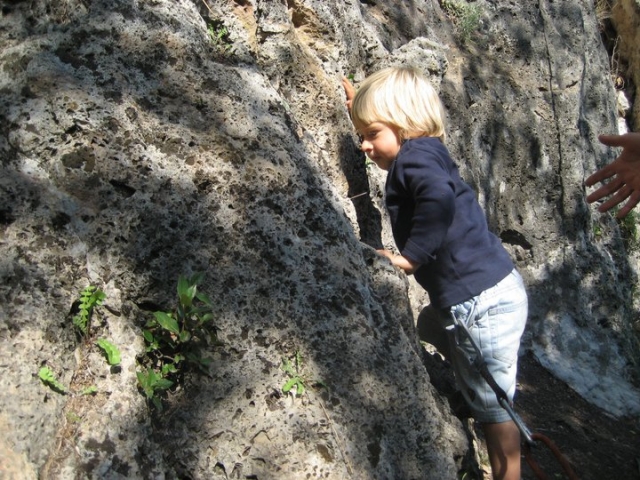 Pequeños escaladores crecen 